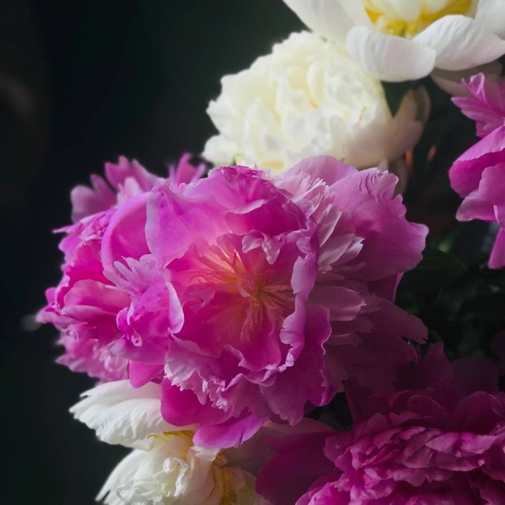 Meet your Posher, Carlos